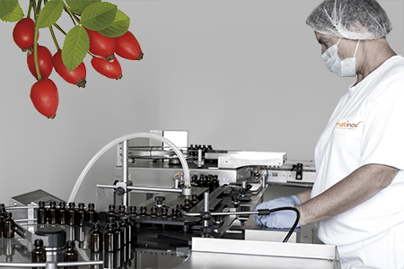 Nat'Inov, vegetal extraction, manufacture and production of food supplements